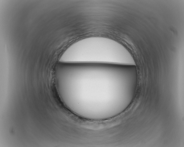 X0000115680029200911120956
