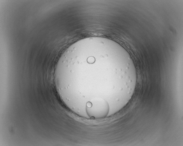 X0000115680030200911120956