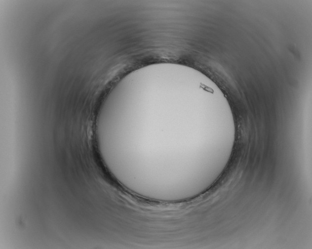X0000115680032200911120956