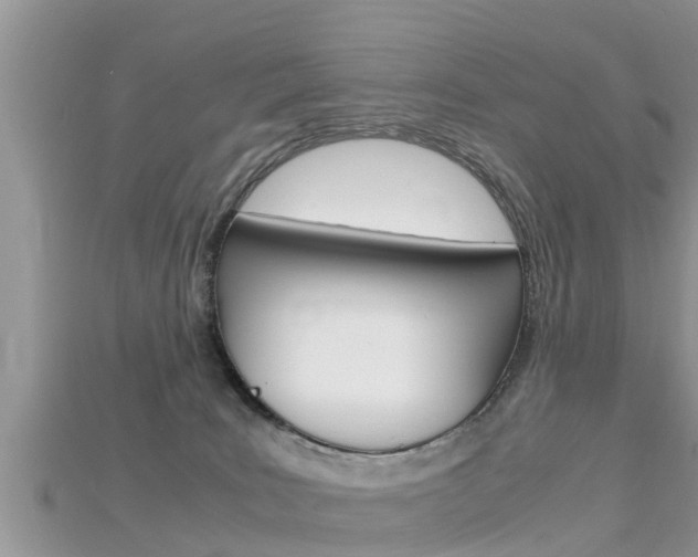 X0000115680035200911120956