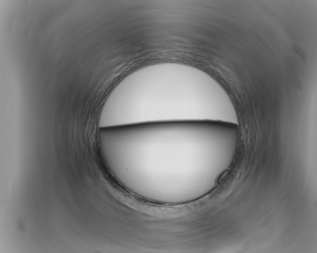 X0000115680036200911120956