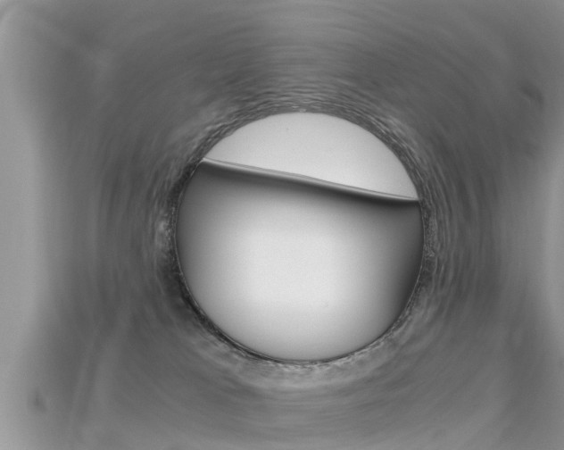 X0000115680037200911120956