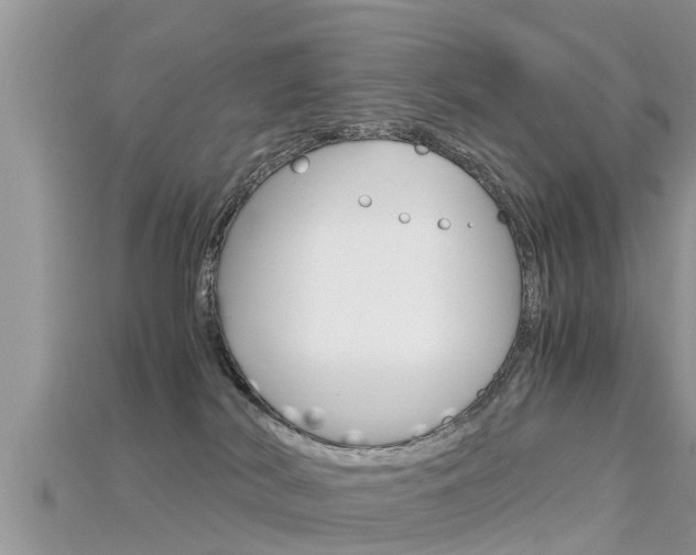 X0000115680038200911120956