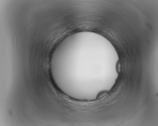 X0000115680040200911120956