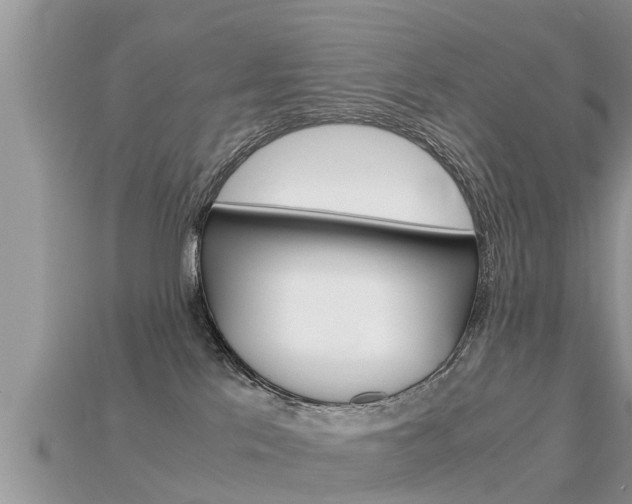 X0000115680041200911120956