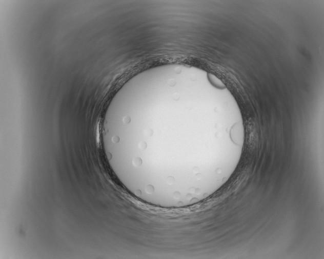 X0000115680042200911120956