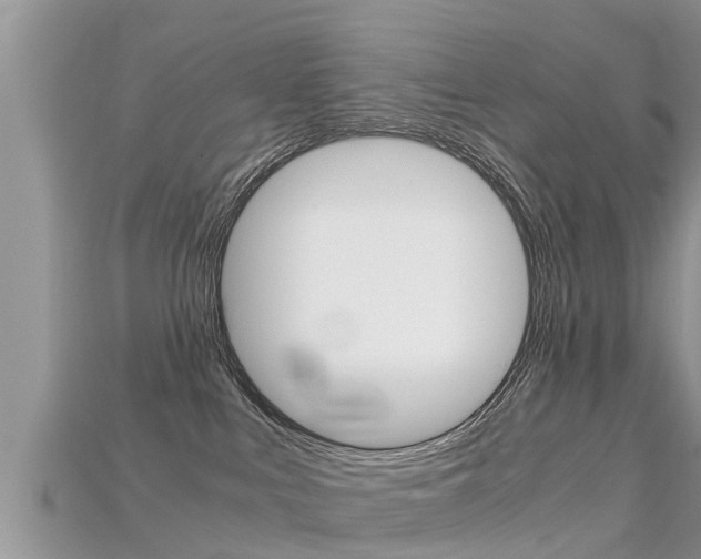X0000115680043200911120956