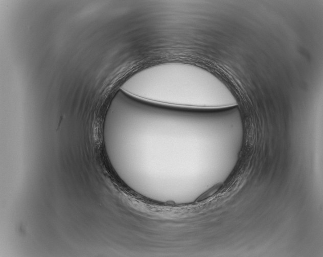X0000115680044200911120956