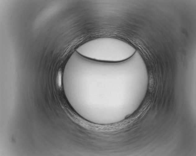 X0000115680046200911120956