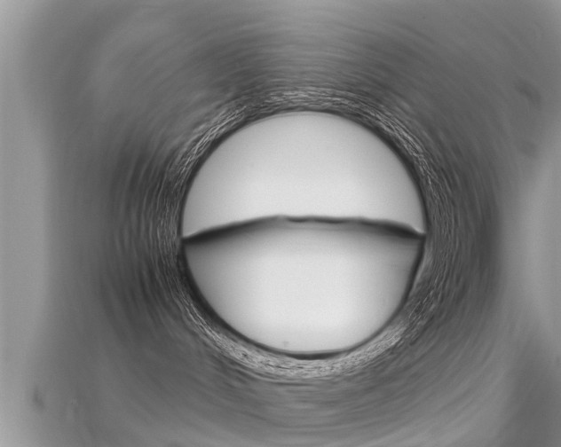 X0000115680048200911120955