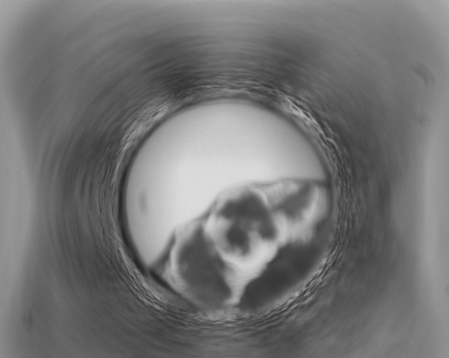 X0000115680049200911120955