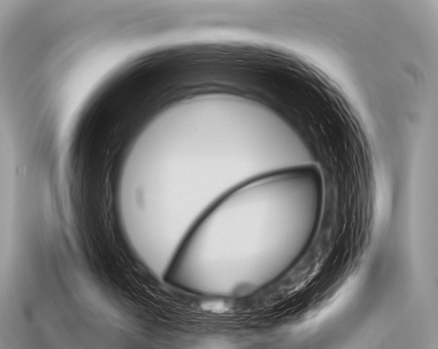 X0000115680050200911120955