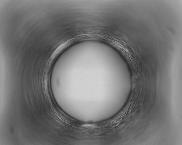 X0000115680051200911120955