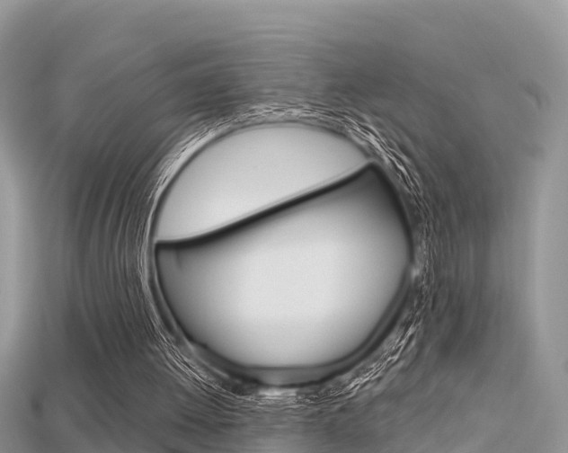 X0000115680052200911120955