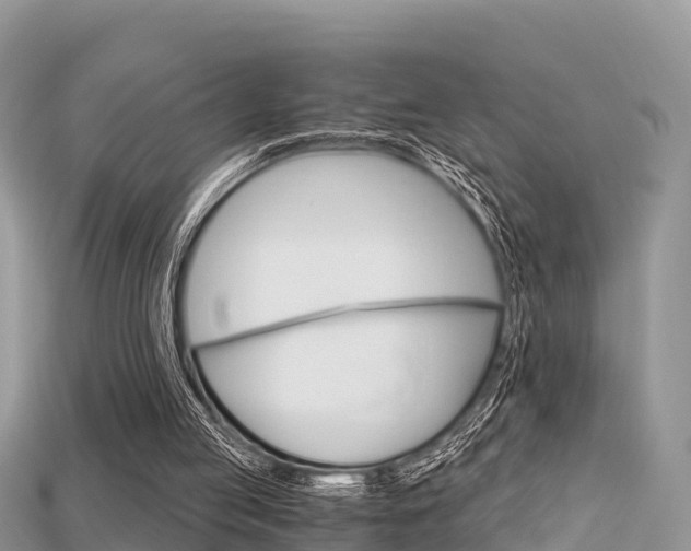 X0000115680053200911120955