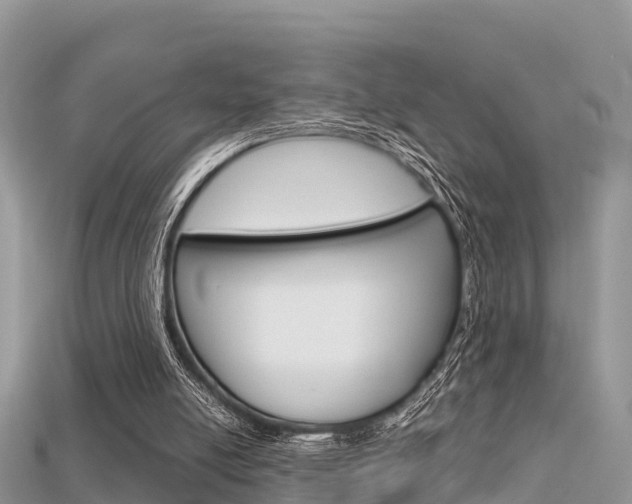 X0000115680054200911120955