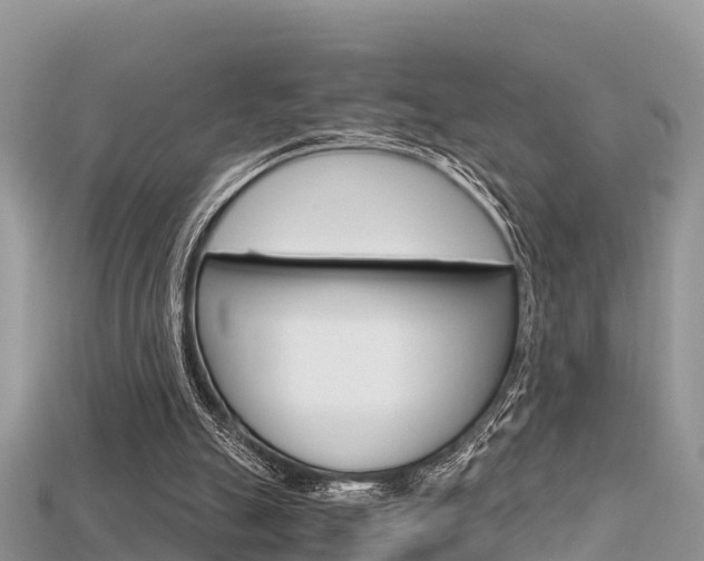 X0000115680055200911120955