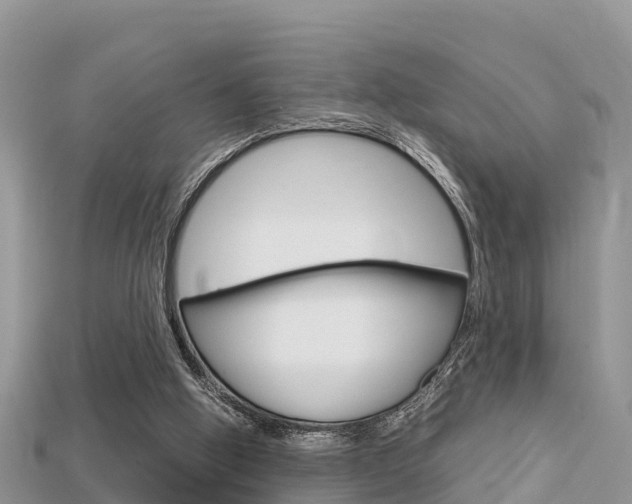 X0000115680058200911120955