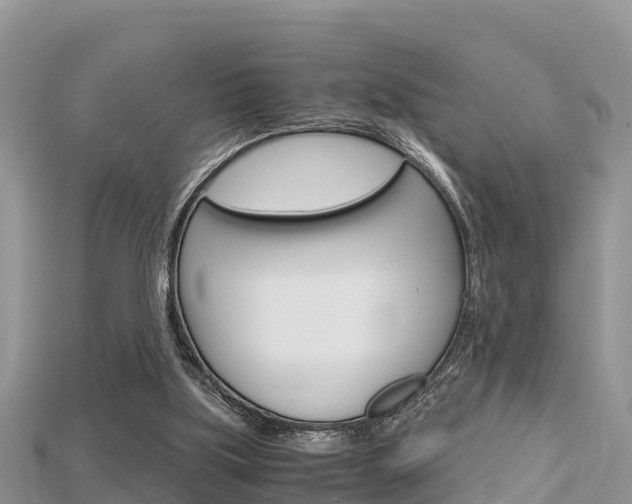 X0000115680059200911120955