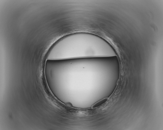 X0000115680060200911120955