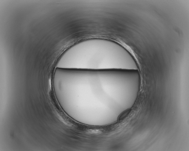 X0000115680061200911120955