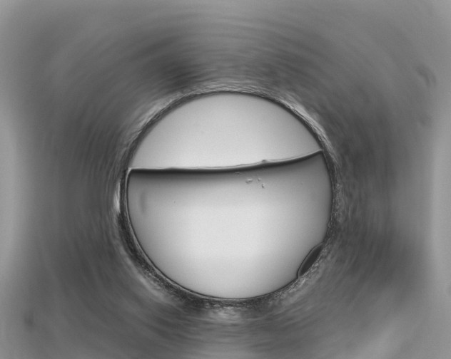X0000115680062200911120955