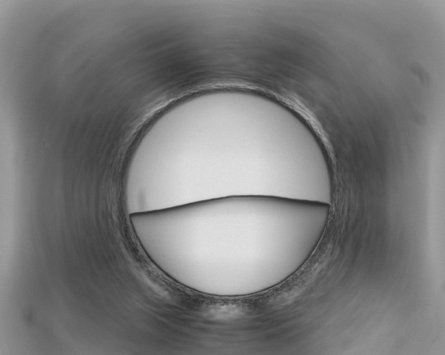 X0000115680063200911120955