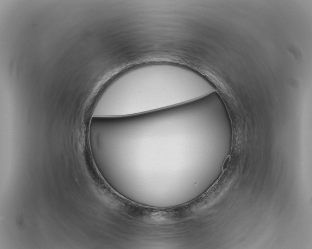 X0000115680064200911120955