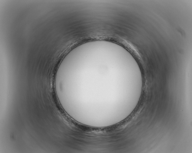 X0000115680065200911120955