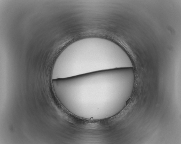 X0000115680066200911120955