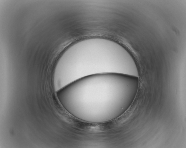 X0000115680068200911120955