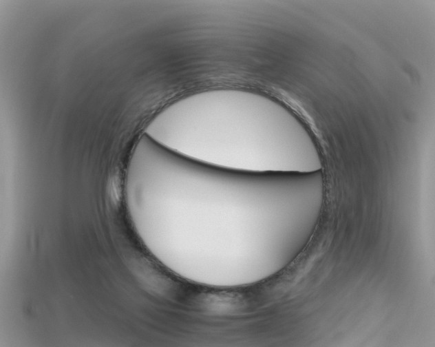 X0000115680069200911120955