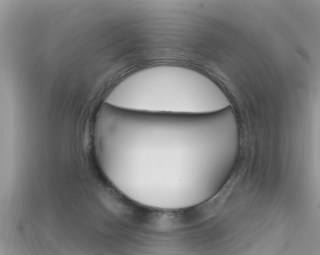 X0000115680074200911120955