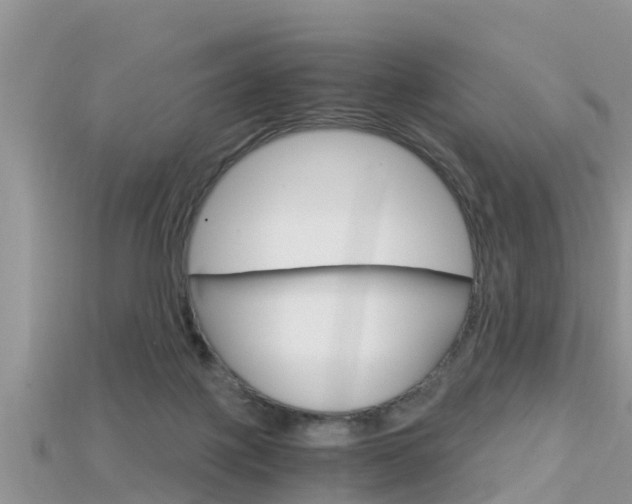 X0000115680075200911120955