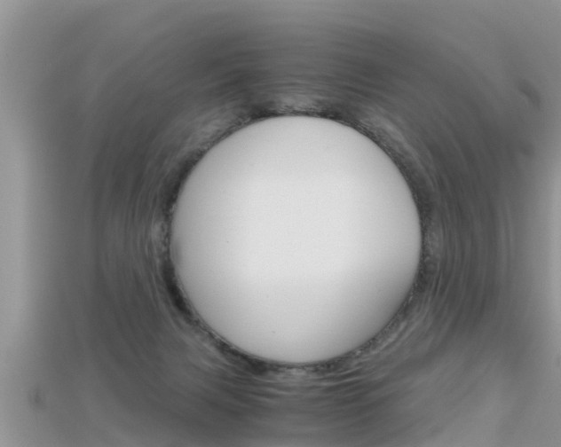 X0000115680079200911120955