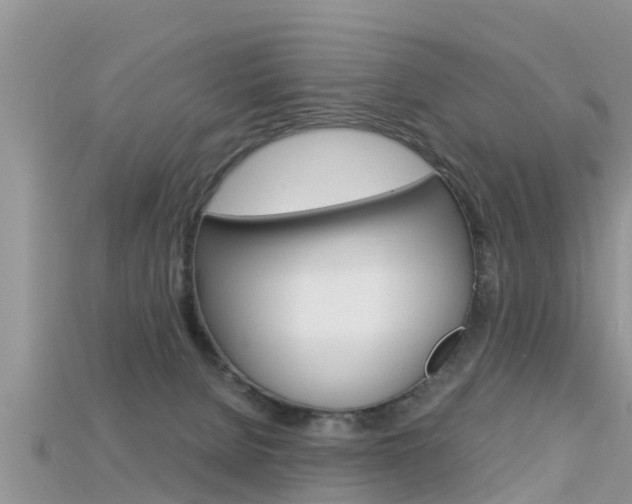 X0000115680080200911120955