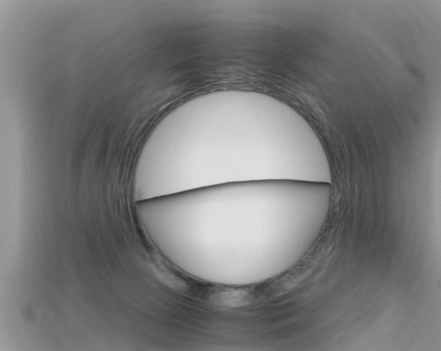 X0000115680081200911120955