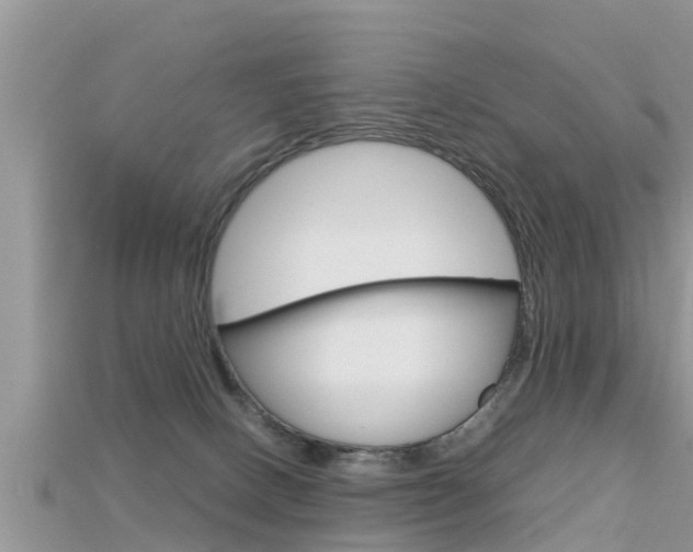 X0000115680082200911120955