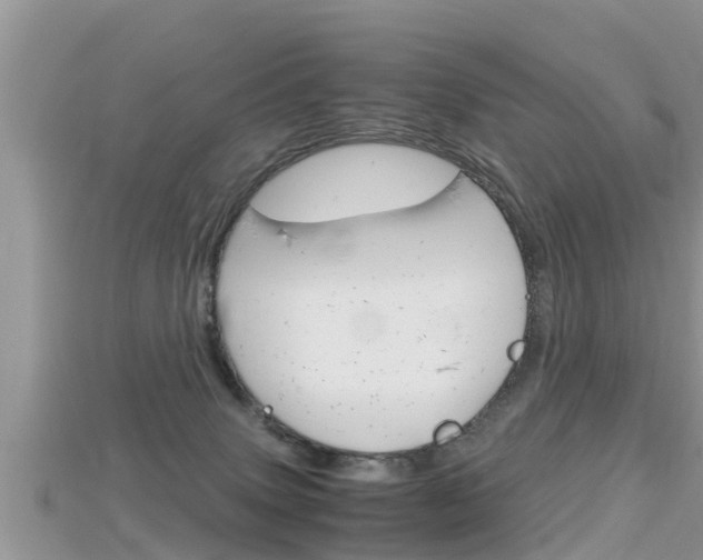 X0000115680083200911120955