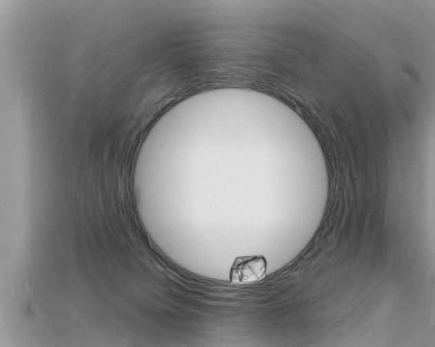 X0000115680084200911120955