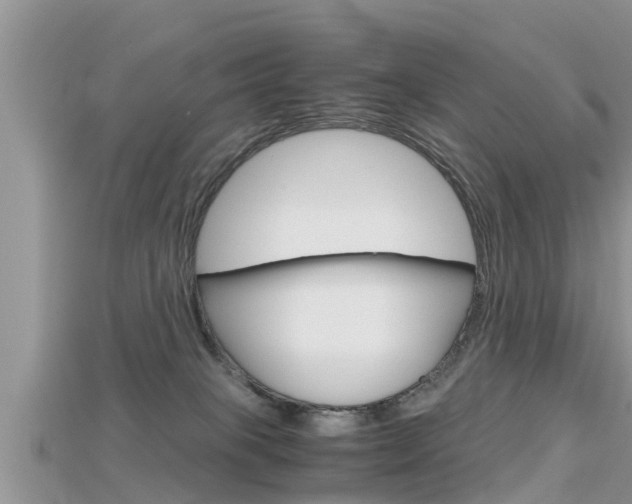 X0000115680085200911120955
