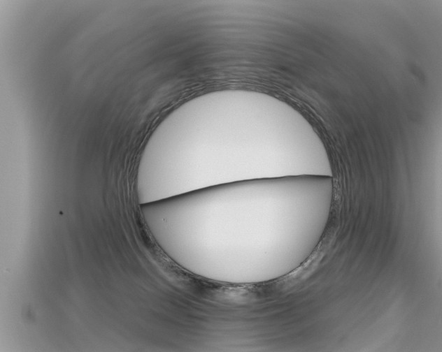 X0000115680086200911120955