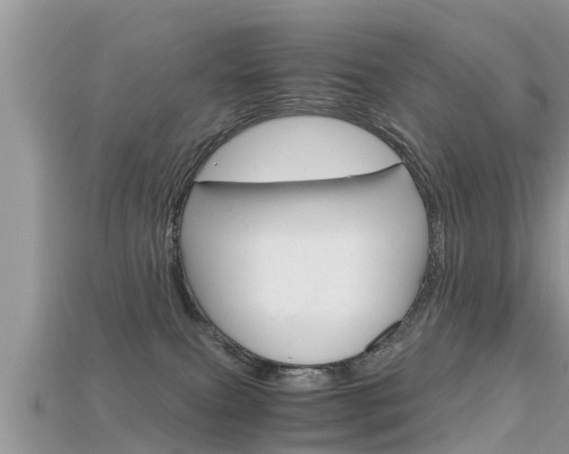 X0000115680087200911120955