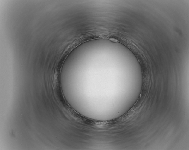X0000115680088200911120955