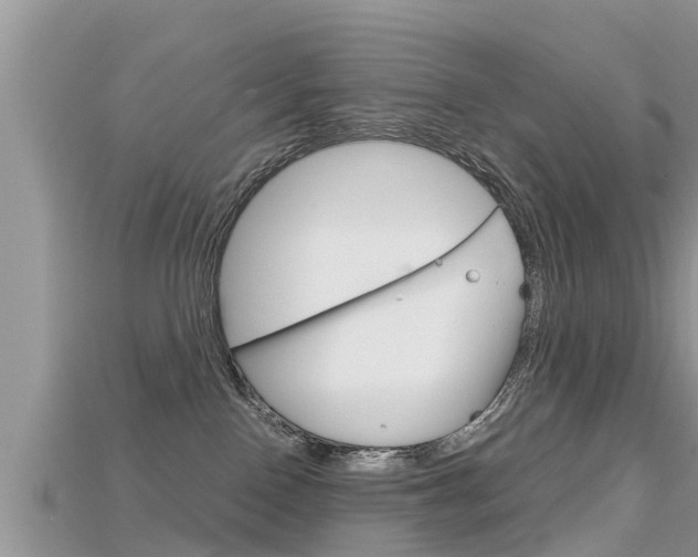 X0000115680090200911120955