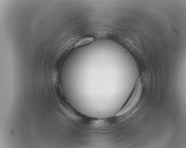 X0000115680092200911120955
