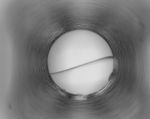 X0000115680094200911120955