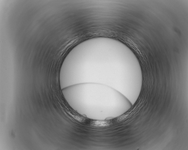 X0000115680095200911120955