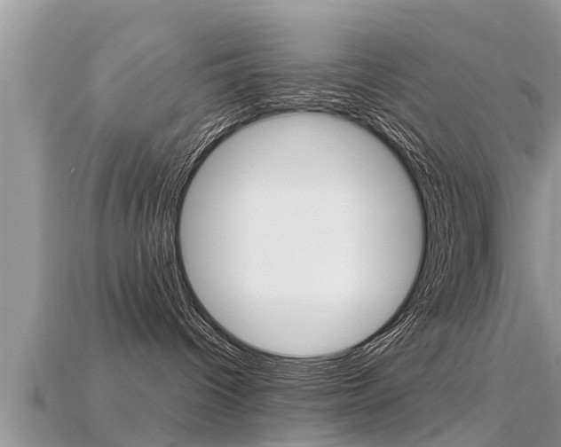 X0000115680096200911120955