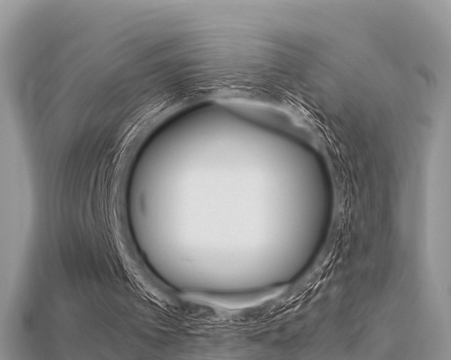 X0000115680097200911120955